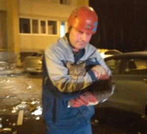 Жительница Пригорского ищет свою кошку, которая исчезла после взрыва газа (фото)